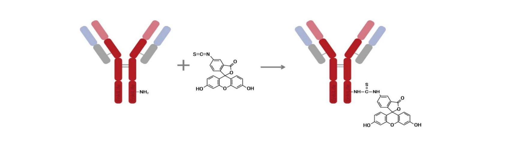 Labeling Principle Diagram